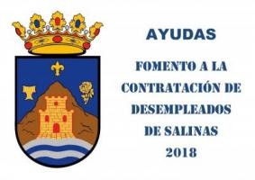 AYUDAS AL FOMENTO DE LA CONTRATACIÓN DE DESEMPLEADOS DE SALINAS 2018